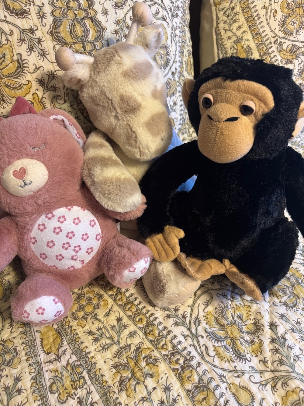 Monkey, Dreamgro light up bunny and Pottery Barn stuffed cow. - Soft Kids Toy
